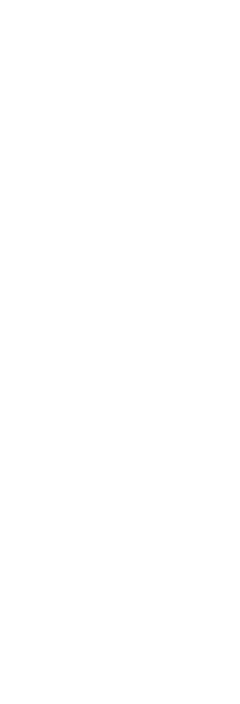 老舗料亭のハヤシライス